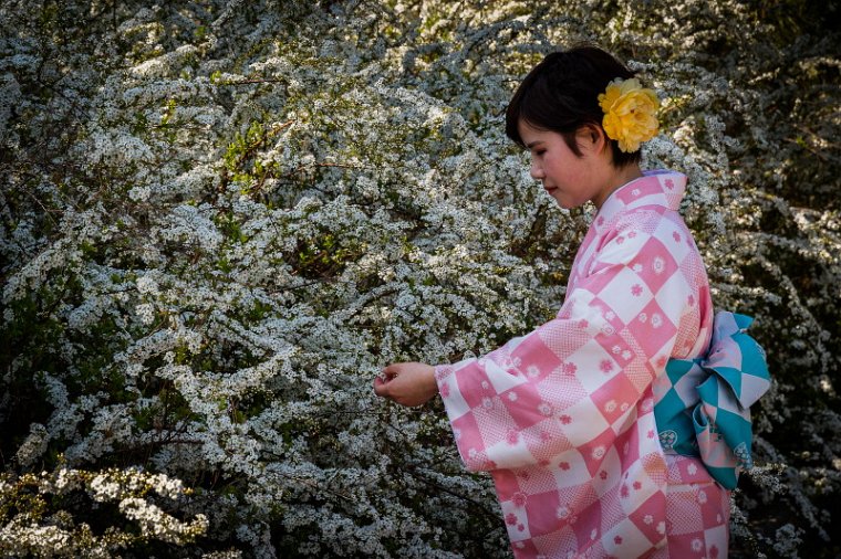 44 Kyoto, keizerlijk paleis.jpg